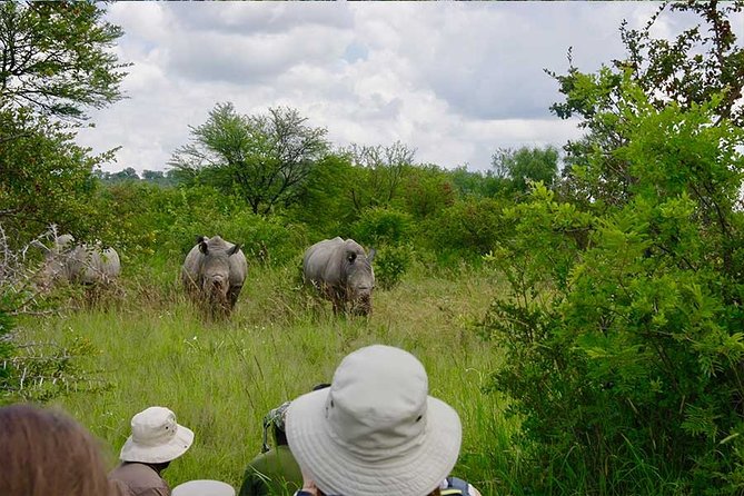 10 Day Zimbabwe and Chobe NP Tour - Quick Hits: What Makes This Trip Work