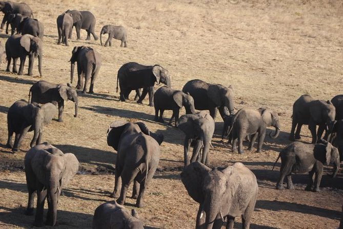 2-Day Camping Safari in Chobe National Park from Victoria Falls - Camping safari night: tents, hot water, and a bush dinner rhythm