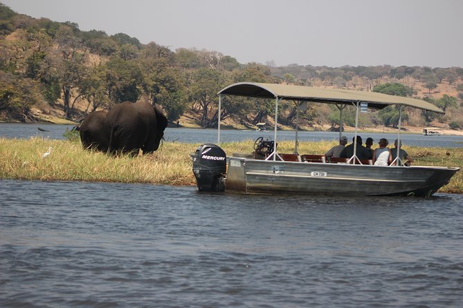 2-Day Camping Safari in Chobe National Park from Victoria Falls - Meals and water: included, simple, and fit for a safari schedule