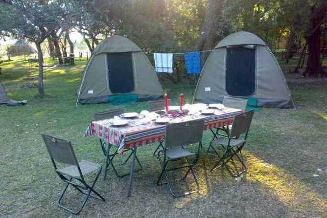 2-Day Camping Safari in Chobe National Park from Victoria Falls - Guides, safety, and why small groups help your wildlife spotting