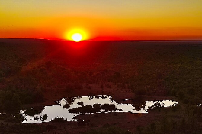 2 Hour Stargazing Tour in Victoria Falls NP Area in 4x4 - Wildlife at night without the zoo feeling
