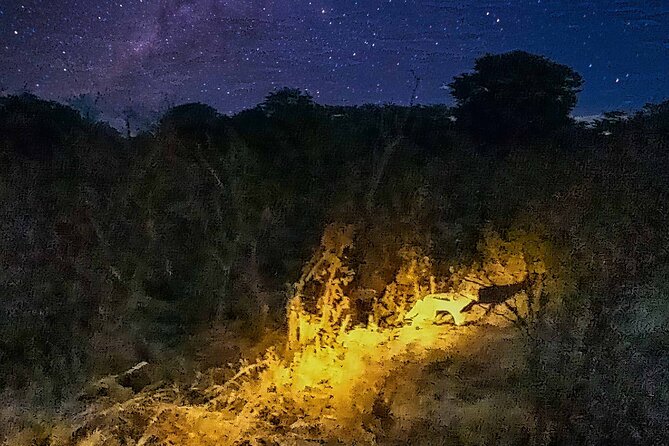 2 Hour Stargazing Tour in Victoria Falls NP Area in 4x4 - Price and value: is $99 per person fair for 2 hours?