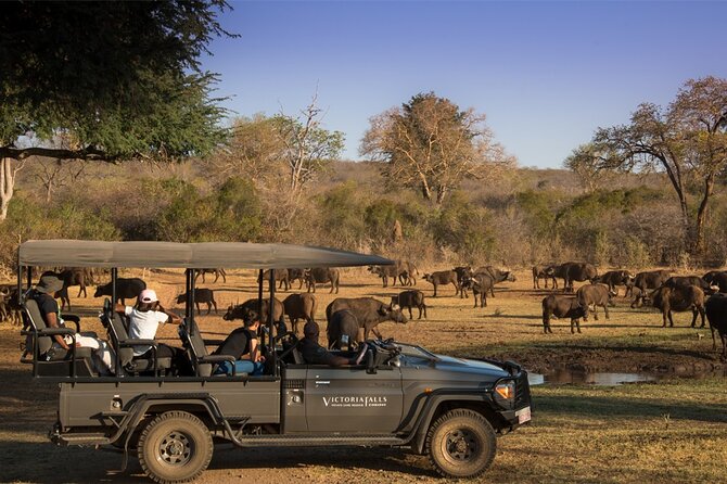 3-Day Victoria Falls Safari with Dinner Cruise - Price and Value: What $850 Covers, and What Costs Extra