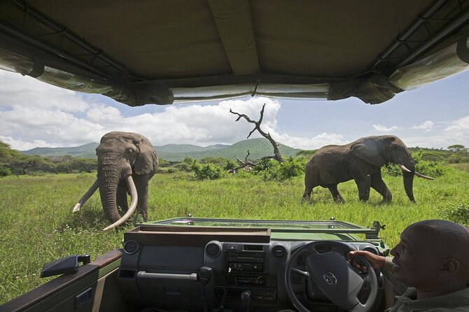 3-Day Victoria Falls Safari with Dinner Cruise - Who Should Book This 3-Day Victoria Falls Safari Plan
