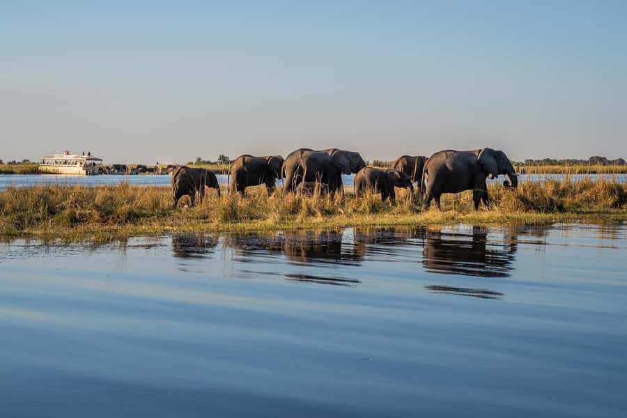 3 Days Explore Zambia, Zimbabwe and Chobe Park in Botswana - Day 2: Mukuni Village Leya Culture and Victoria Falls (Zimbabwe)