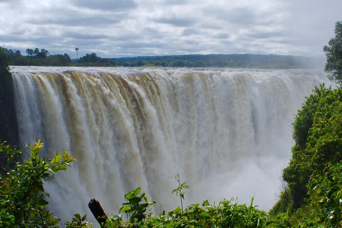 3 Days Tour at Chobe Park and Victoria Falls with Airport Pickup - Victoria Falls Hotel Pickup, Private Reserve Views, and the 2-Hour Guided Walk