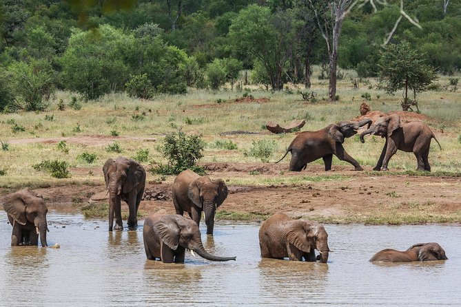 4-Day Discover Victoria Falls, Chobe and Hwange Park - The Guides and Small-Group Advantage: What You Get When Attention Isn’t Shared