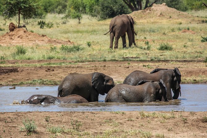 4-Day Discover Victoria Falls, Chobe and Hwange Park - Price Check: What’s Included, What’s Extra, and How to Budget Smart