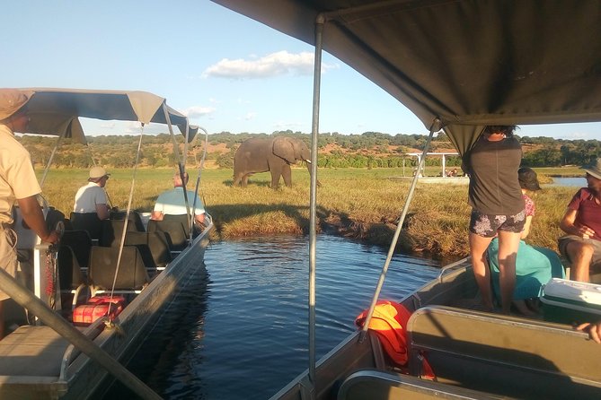 4-Day Discover Victoria Falls, Chobe and Hwange Park - Who This Tour Suits Best (And Who Might Skip It)