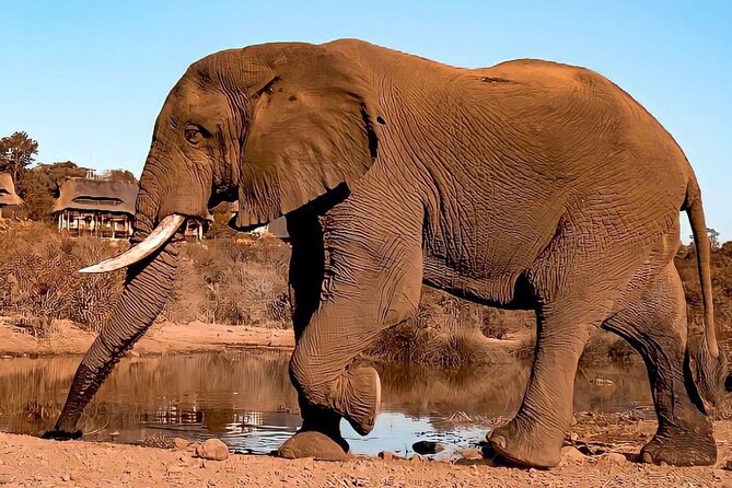 4 Days Victoria Falls Safari Tour & Chobe National Park game drive - Day 2 Victoria Falls by Air and Foot, Then the Boma Night