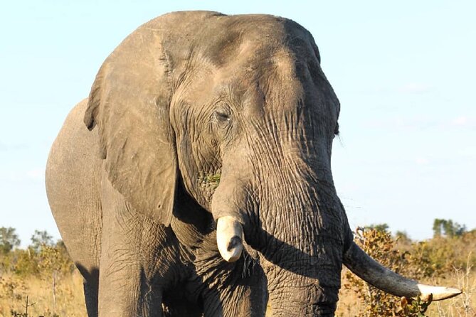 4 Days Victoria Falls Safari Tour & Chobe National Park game drive - Price and Logistics, What You’re Paying For