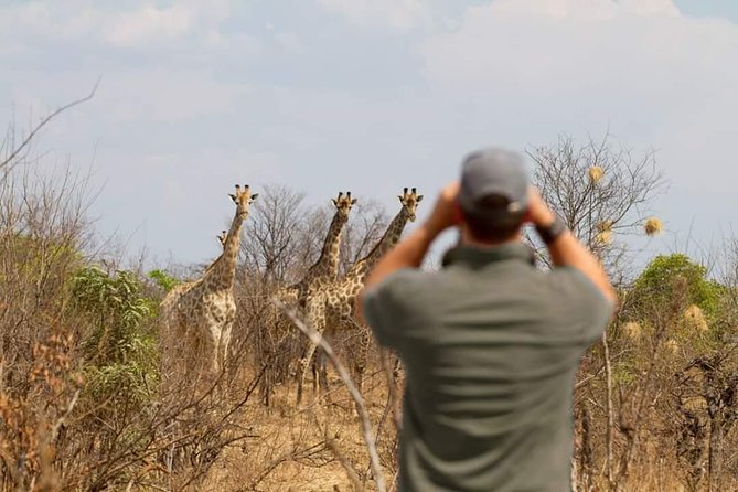 4 Days Victoria Falls Zimbabwe with Chobe National Park Safari Botswana and Livingstone Zambia - Where “semi all-inclusive” helps, and where you will still spend