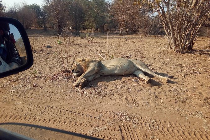 5-Day Explore Zimbabwe, Zambia and Botswana - Day 1: Victoria Falls arrival, transfer, and the Zambezi sunset cruise