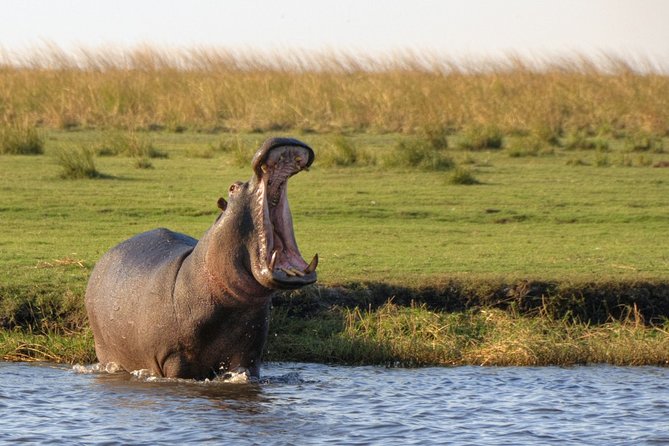 5-DAY Victoria Falls and Chobe National Park - Key highlights worth your attention