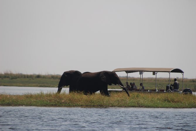 5-DAY Victoria Falls and Chobe National Park - Victoria Falls and Chobe in 5 days: a smart route for first-timers