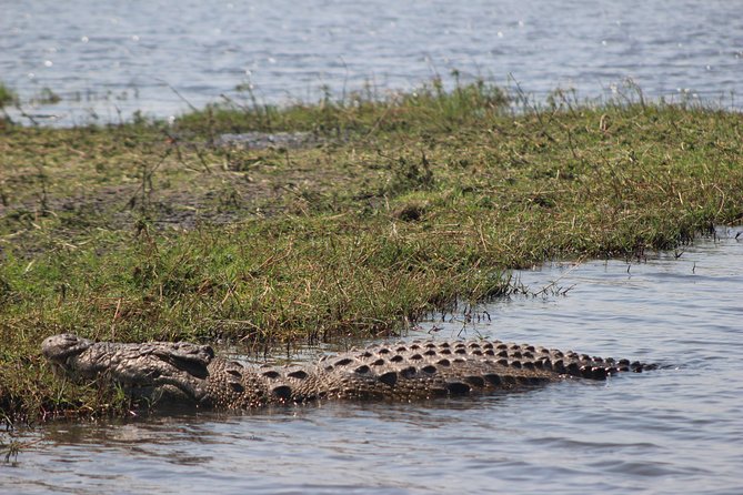 5-DAY Victoria Falls and Chobe National Park - Day 2 Victoria Falls guided walk: Big Baobab to curio market