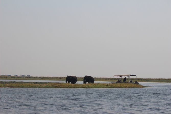 5-DAY Victoria Falls and Chobe National Park - Day 2 African Village tour: meet locals and keep your questions ready