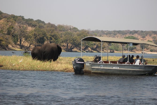 5-DAY Victoria Falls and Chobe National Park - Day 5 morning options, then transfer back