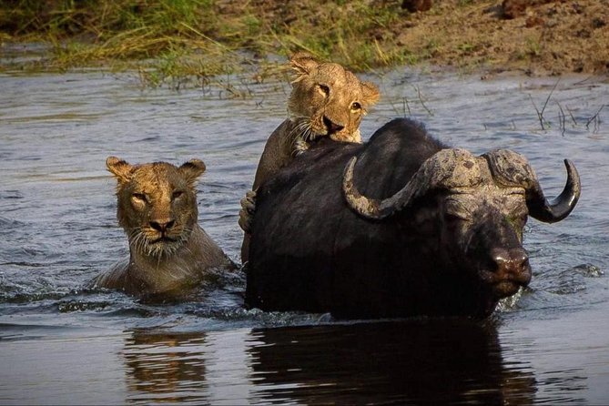 5 Day Victoria Falls and Chobe National Park Camping Tour - Camping style on this tour, and why comfort matters