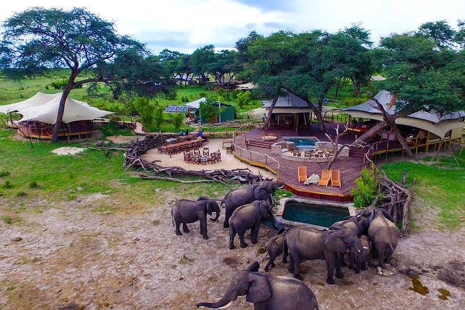 5 Day Victoria Falls and Hwange National Park Accommodated Safari Tour - Victoria Falls to Hwange in 5 days, the practical way