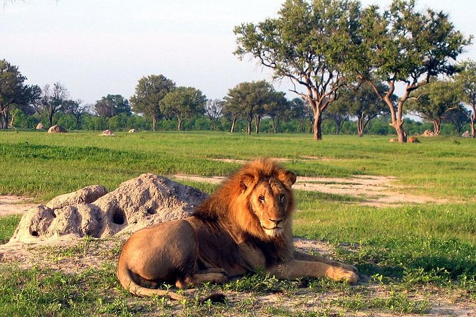 5 Day Victoria Falls and Hwange National Park Accommodated Safari Tour - Pickup, mobile ticket, and the small-group advantage