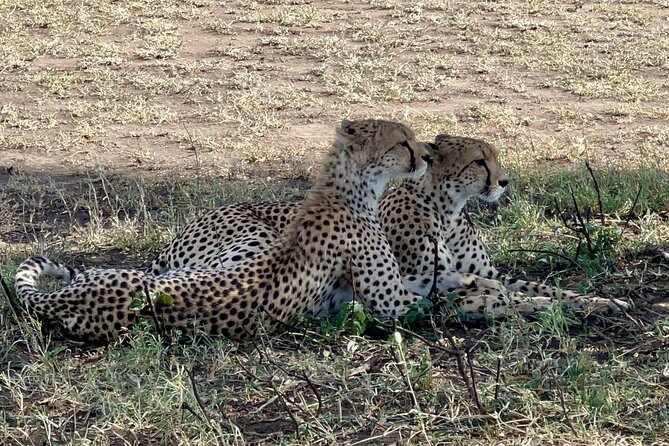 5-Day Visit Zimbabwe, Zambia, Botswana & Namibia Island - Four Countries in Five Days: What You Actually Get