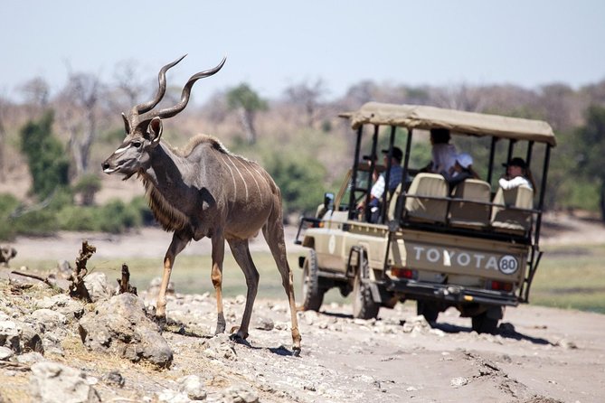 6-day Hwange, Chobe & Victoria Falls Combo - A three-park plan with real wildlife time