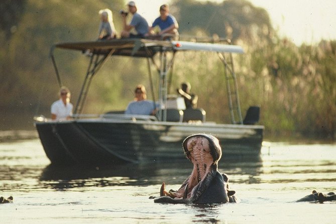 6-day Hwange, Chobe & Victoria Falls Combo - Day 1: Arrive at Victoria Falls, then straight into Hwange night magic