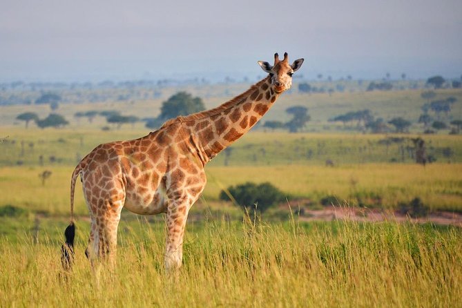 6-day Hwange, Chobe & Victoria Falls Combo - Price and what you actually get for it