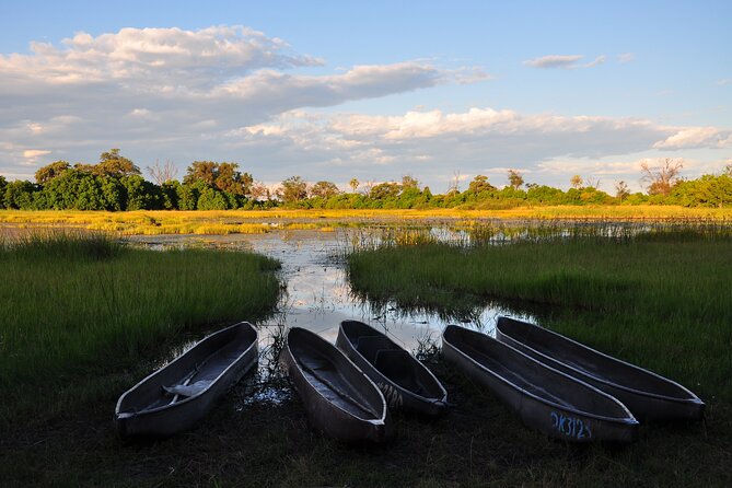 6 Days Victoria Falls Chobe Wildlife and Okavango Delta Tour - Value check: what $2,250 covers, and what you bring yourself