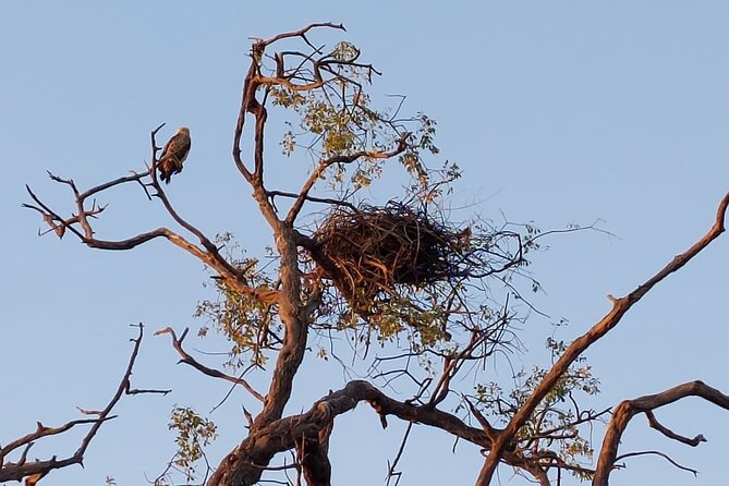 6 Days Victoria Falls Chobe Wildlife and Okavango Delta Tour - Entering the route: Victoria Falls to Kasane, then straight into Chobe