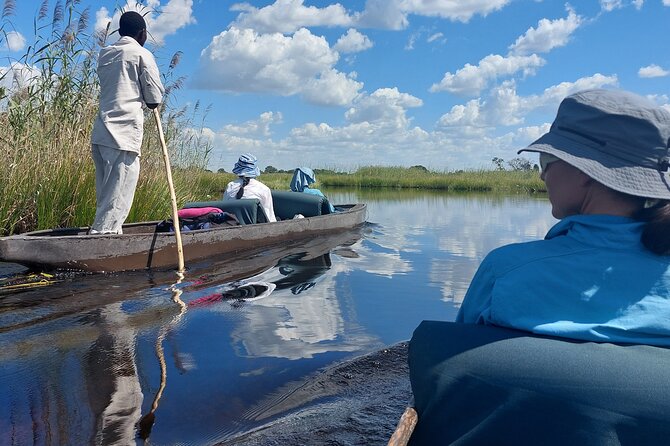 6 Days Victoria Falls Chobe Wildlife and Okavango Delta Tour - Day 5 in the Okavango Delta: a 2-day, 1-night island safari by mokoro