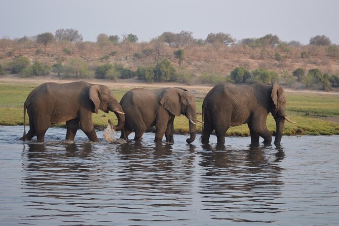 6 Days Victoria Falls Chobe Wildlife and Okavango Delta Tour - Guides, pace, and group size: what “small group” changes