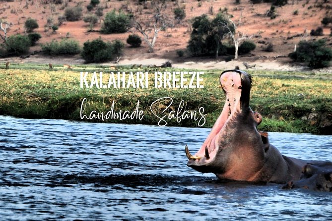 7 Day Highlights Of Botswana Overland Tour - ACCOMODATED (midrange) - Day 3: a morning 4x4 game drive in Chobe, then Elephant Sands waterhole time