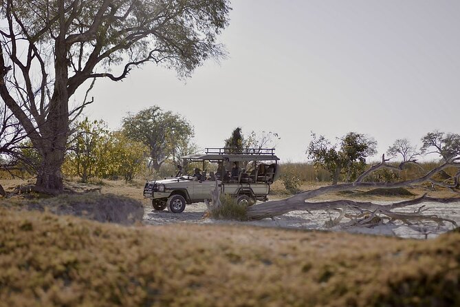 8 Day Chobe NP, Elephant Sands, Okavango Delta & Victoria Falls - Key highlights before you go