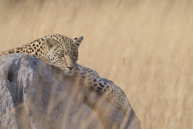 8 Day Chobe NP, Elephant Sands, Okavango Delta & Victoria Falls - Victoria Falls, then the river at sunset