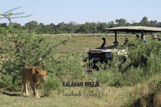 8 Day Highlights Of Botswana & Victoria Falls Overland Tour - Okavango Delta camping safari: speedboat to Buffalo Fence, then mokoro time