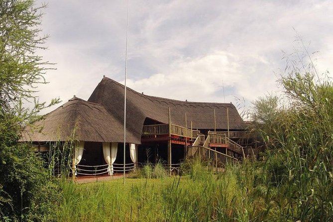 8 Day Highlights Of Botswana & Victoria Falls Overland Tour - Two days in the Delta: first game activity, then a full channel and walk day