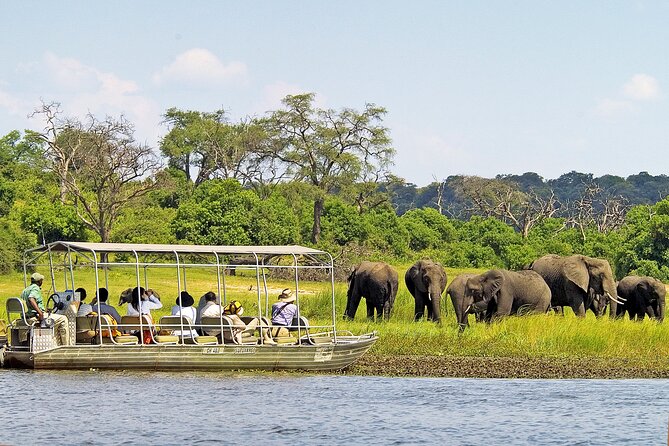 A 2 Day Victoria Falls & Chobe Safari Combo - The Guided Sunrise Waterfall Walk, Photography, and Birdlife