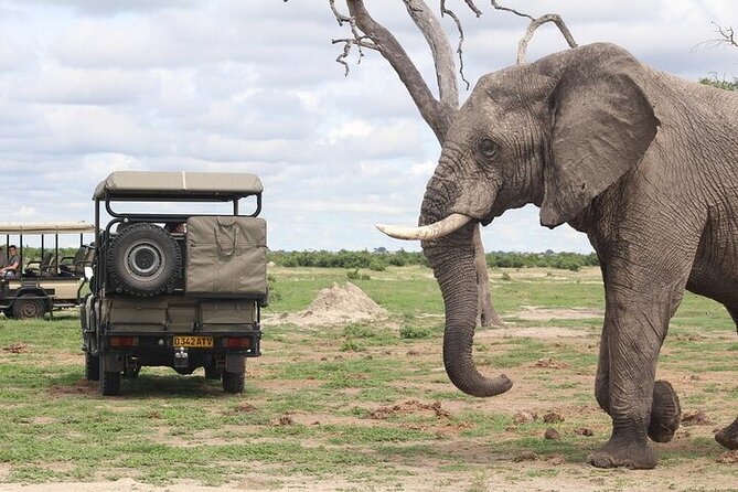 A 2 Day Victoria Falls & Chobe Safari Combo - Chobe National Park in One Day: The 4x4 Game Drive That Gets You Spotting