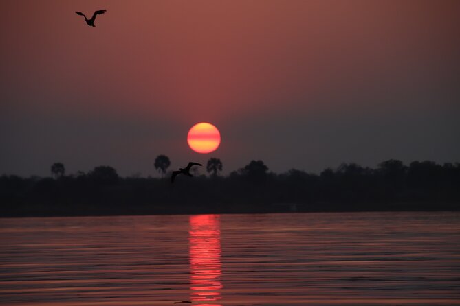 Adrenaline Jet Boat Safari in Victoria Falls - Booking smart: timing, group size, and flexibility