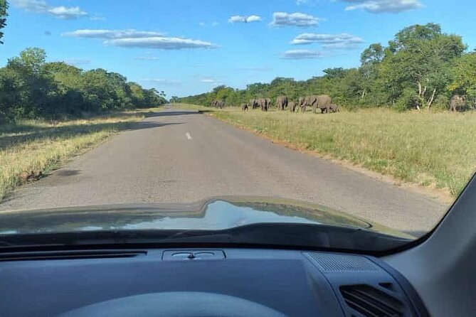 Airport, Hotel and local transfers in Victoria Falls - What makes the ride scenic: park road views, wildlife potential