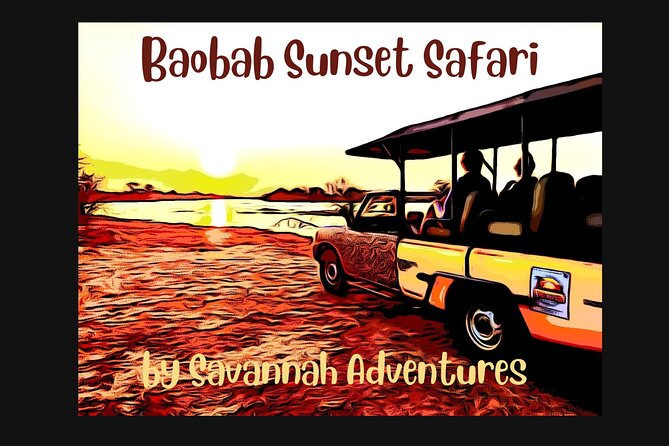 Baobab-Sunrise-Sunset-Vulture-Moonlight Safaris, 4 Options - Key highlights to notice before you go