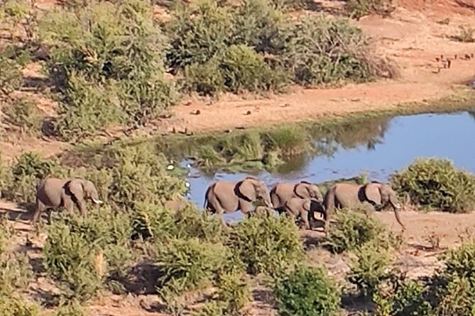 Baobab-Sunrise-Sunset-Vulture-Moonlight Safaris, 4 Options - Who this safari fits best