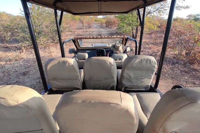Baobab-Sunrise-Sunset-Vulture-Moonlight Safaris, 4 Options - Should you book Baobab-Sunrise-Sunset-Vulture-Moonlight Safaris?
