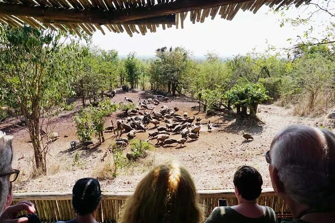 Baobab-Sunrise-Sunset-Vulture-Moonlight Safaris, 4 Options - From Historic Stops to the Bush Between Town and the Gorge