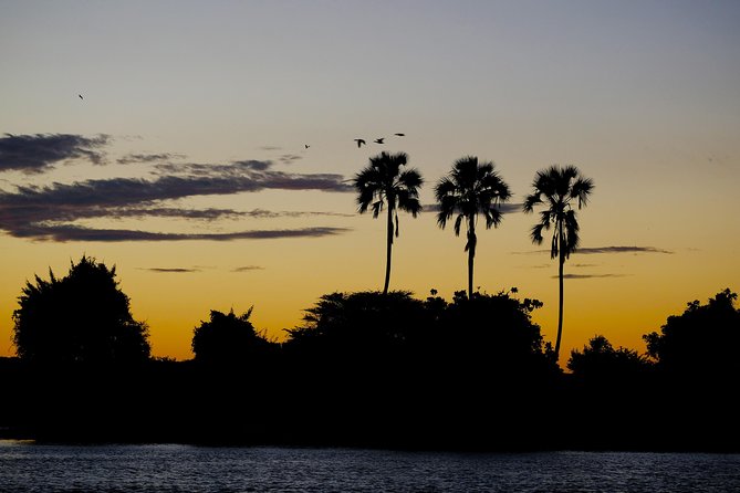 Birdwatching Cruise in Zambezi River with Breakfast - Value and Pricing: Is $85 a Good Deal for Breakfast Birding?