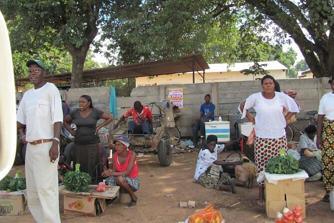 Chinotimba Township Tour (Zimbabwe) - Who This Tour Is Perfect For