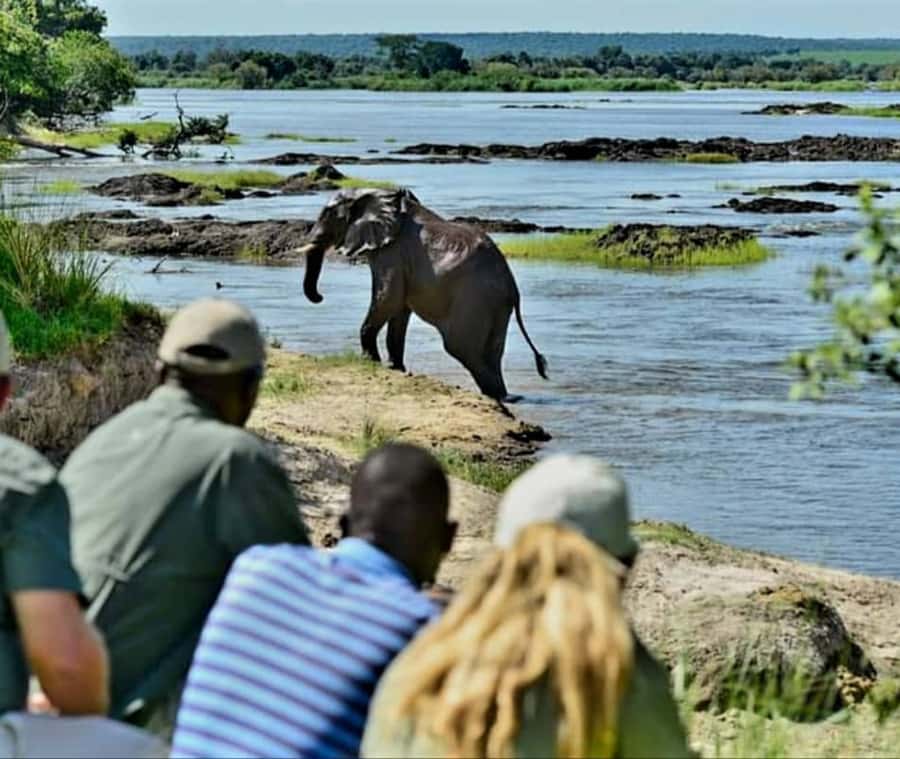 Chobe Day Trip - From Vic Falls - With Lunch (Buffet) - Lunch buffet: good fuel, but check your diet needs