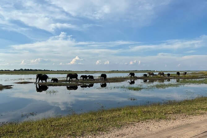 Chobe Day Trip from Victoria Falls - Victoria Falls to Kazungula: the first 70 km that set the tone